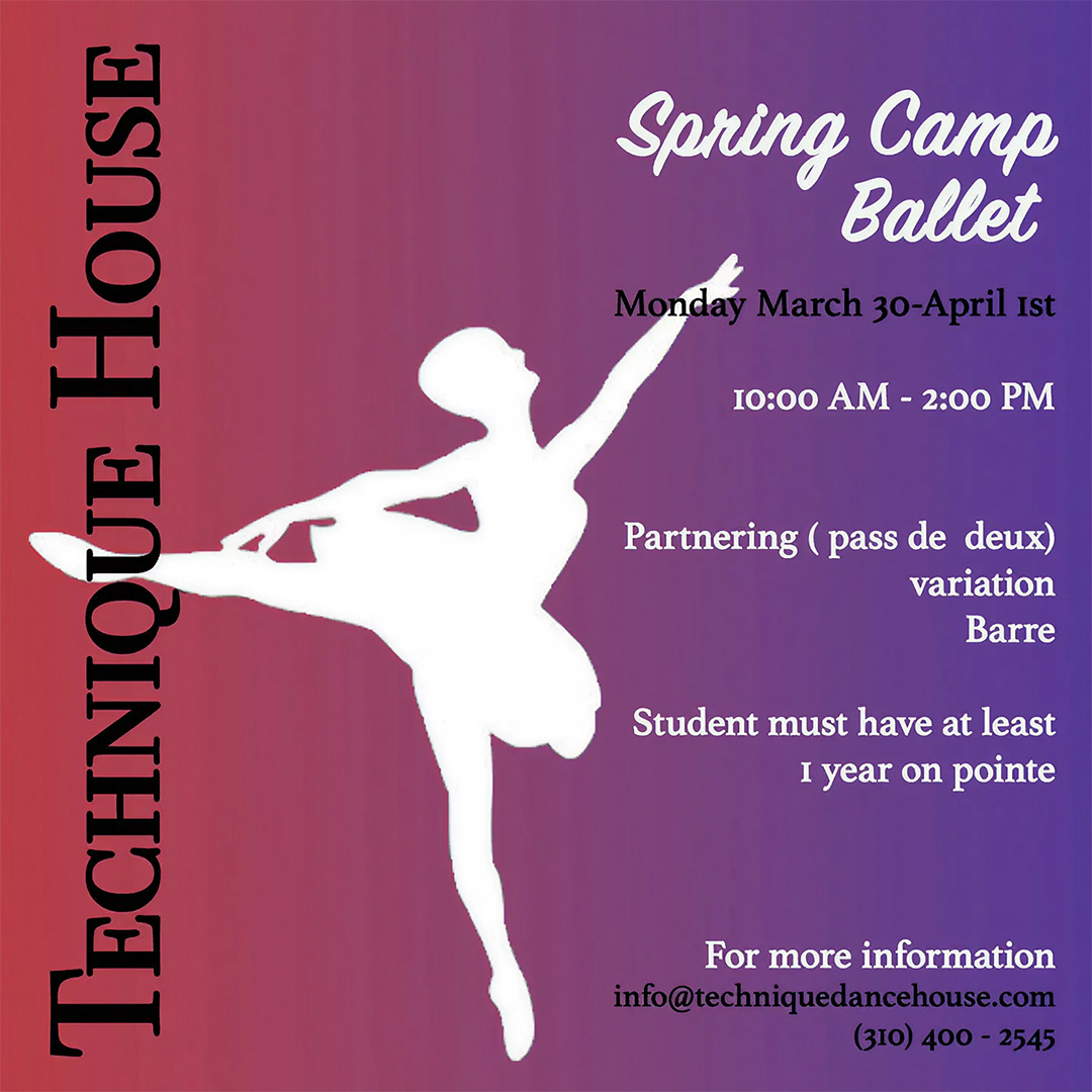 Tech ballet dance house (2)